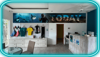 潜水用品店内景，柜台与展示架上摆有服装与装备，墙面海洋探险横幅写有 Legend Diving，右侧有接待柜台。