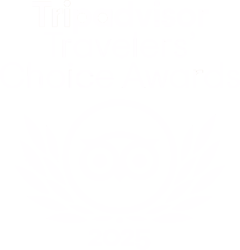 Tripadvisor“旅行者之选”奖徽标，包含猫头鹰图标和月桂冠元素