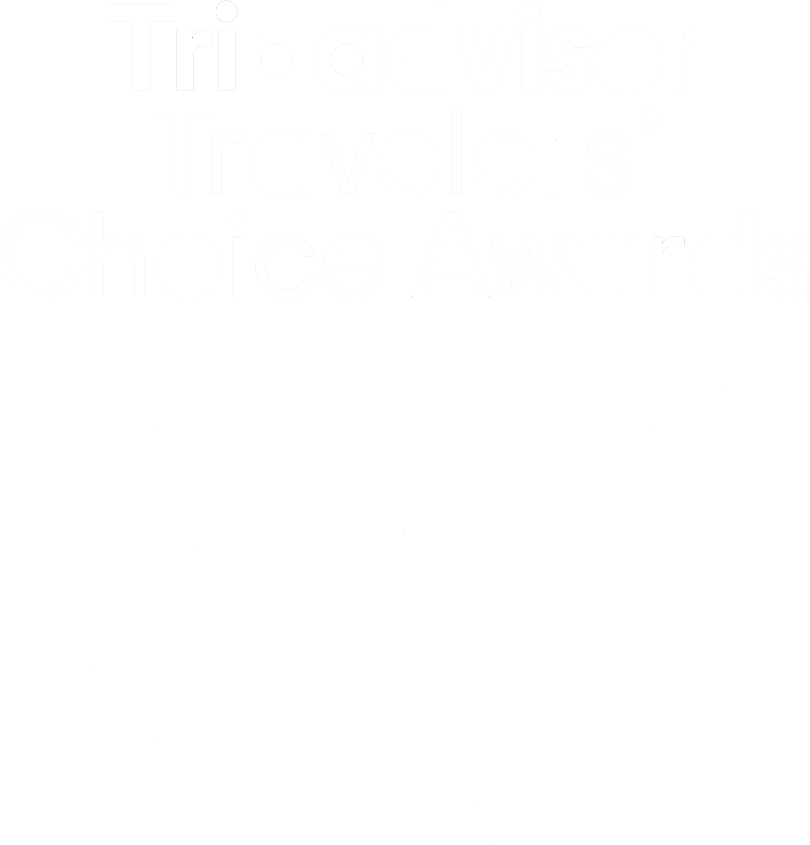 TA-LOGO-2025 Tripadvisor“旅行者之选”奖徽标,包含猫头鹰图标和月桂冠元素
